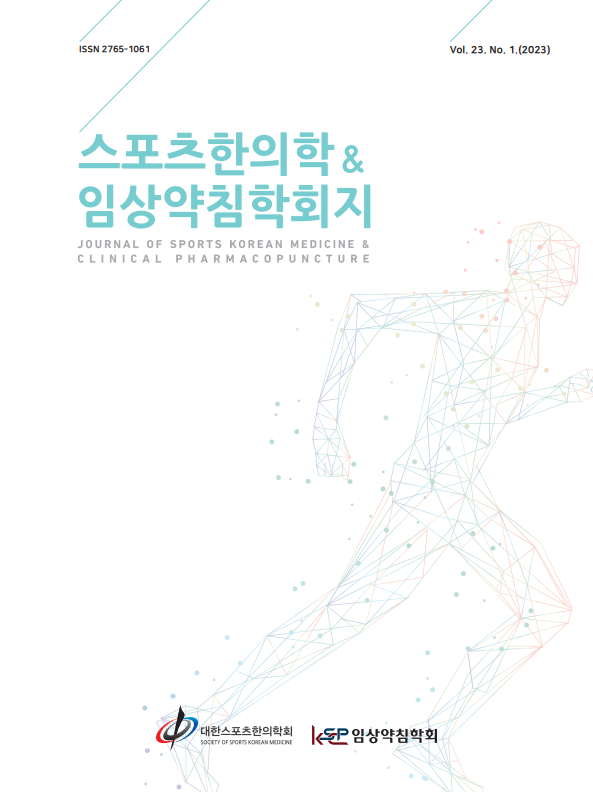 운동장 표면이 부상에 미치는 영향: 체계적 검토